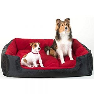 Dog/Cat Bed