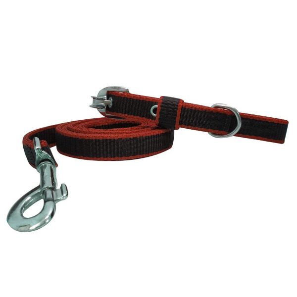 Collar Set for Dogs